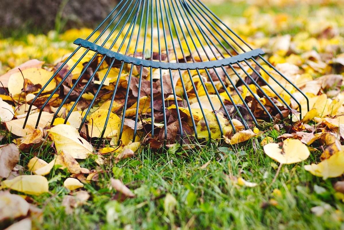 Seasonal Gardening Tips For Tending Your Garden In Autumn